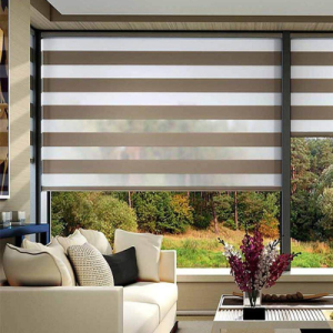 Zebra Blinds